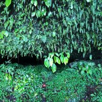 高千穂町おすすめスポット